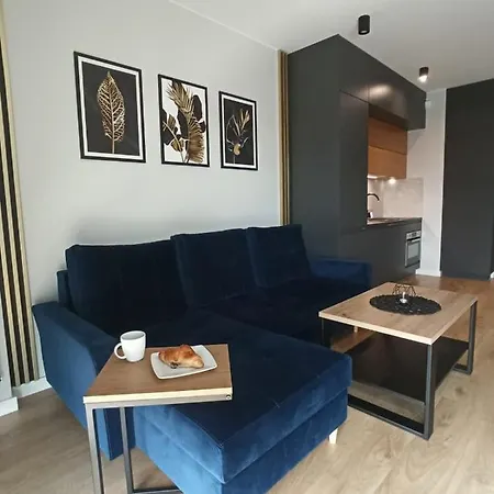 Gold Apartments Capital Towers Ряшів Екстер'єр фото